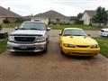 1998 ford mustang cobra - Alejandro Ramirez's 1998 ford mustang cobra
