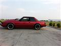 1993 Ford Mustang - Amar Gaber's 1993 Ford Mustang