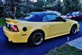 2003 Ford Mustang GT Convertible - Dean Bergeron's 2003 Ford Mustang GT Convertible
