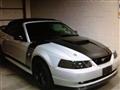 2000 Ford Mustang GT Convertible - Gary Ugarek's 2000 Ford Mustang GT Convertible