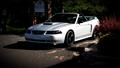 2000 Ford Mustang GT Convertible - Gary Ugarek's 2000 Ford Mustang GT Convertible