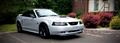 2000 Ford Mustang GT Convertible - Gary Ugarek's 2000 Ford Mustang GT Convertible