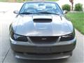 2001 Mustang GT - Jerry Strannigan's 2001 Mustang GT