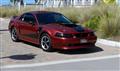 2004  Ford mustang  40th - Kellie Moore's 2004  Ford mustang  40th