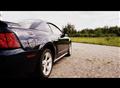 2001 Mustang GT - Michael Provo's 2001 Mustang GT