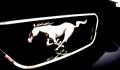 2001 Mustang GT - Michael Provo's 2001 Mustang GT