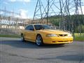 1995 Ford Mustang GTS - Nathan Kilberry's 1995 Ford Mustang GTS