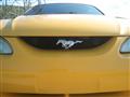 1995 Ford Mustang GTS - Nathan Kilberry's 1995 Ford Mustang GTS